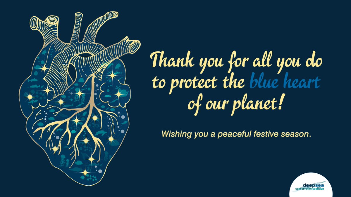 DeepSeaConserve's tweet image. Season&apos;s greetings from the #DeepSea and all of us at the Deep Sea Conservation Coalition.

Don&apos;t forget to take a moment to remember what we&apos;re fighting for - the beautiful blue heart 💙 of our planet! 

#DefendTheDeep #KeepItInTheDeep