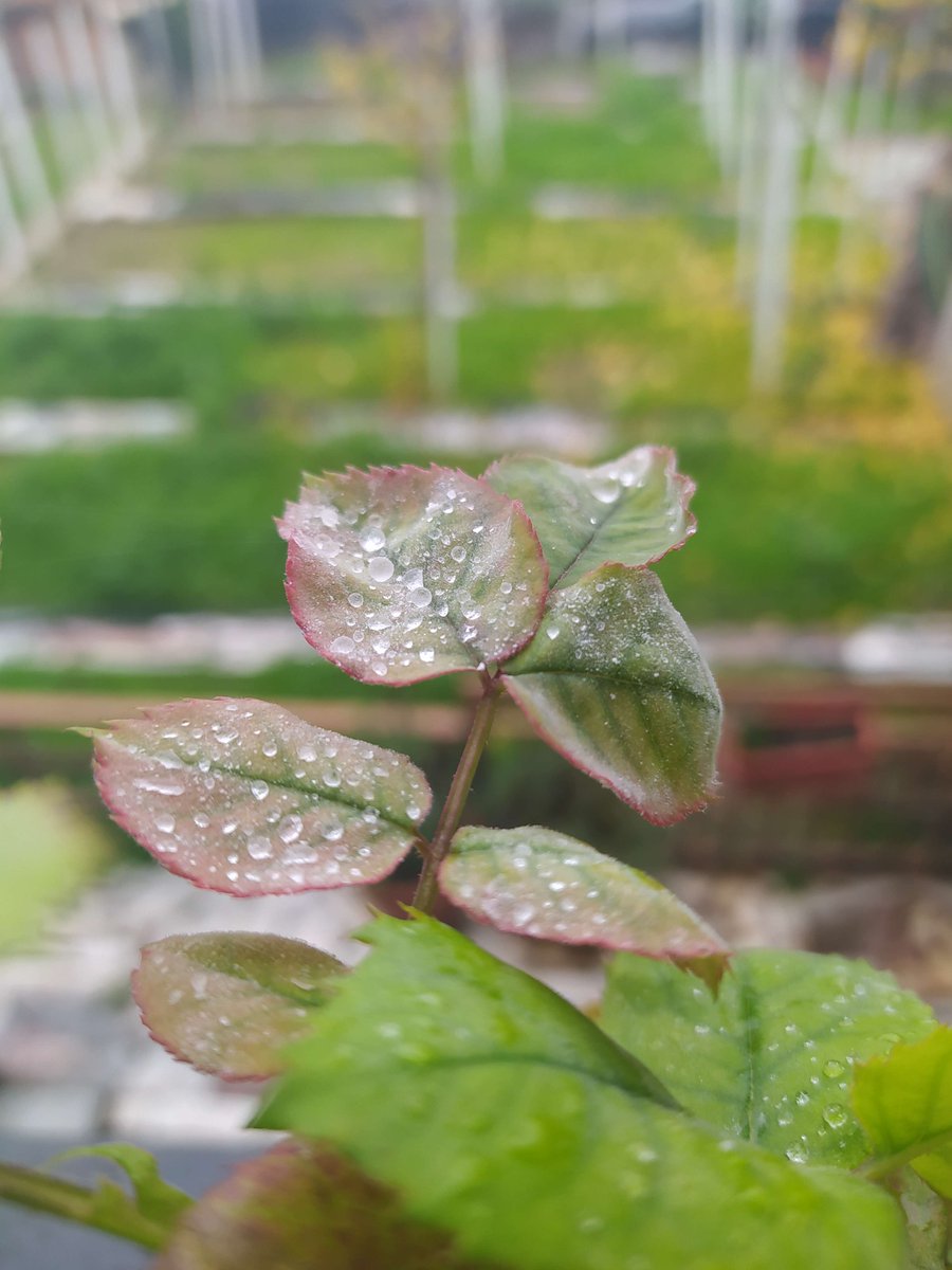 StFermat's tweet photo. Seasons catching up.
#photography #autumn #winter https://t.co/bByNCJKvS0