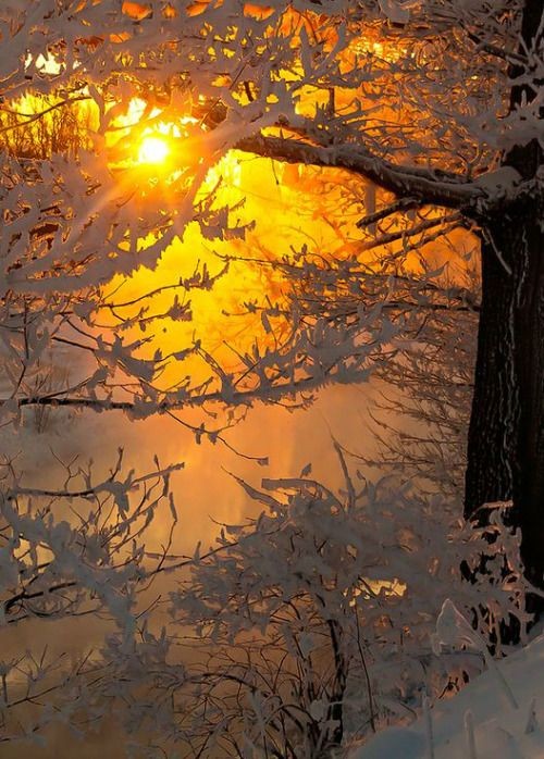 💫💛💫💛 Einen schönen, behaglichen Abend wünsche ich euch Lieben. Lasst den Tag gemütlich ausklingen und habt später eine gute und erholsame Nacht 💫💛💫💛