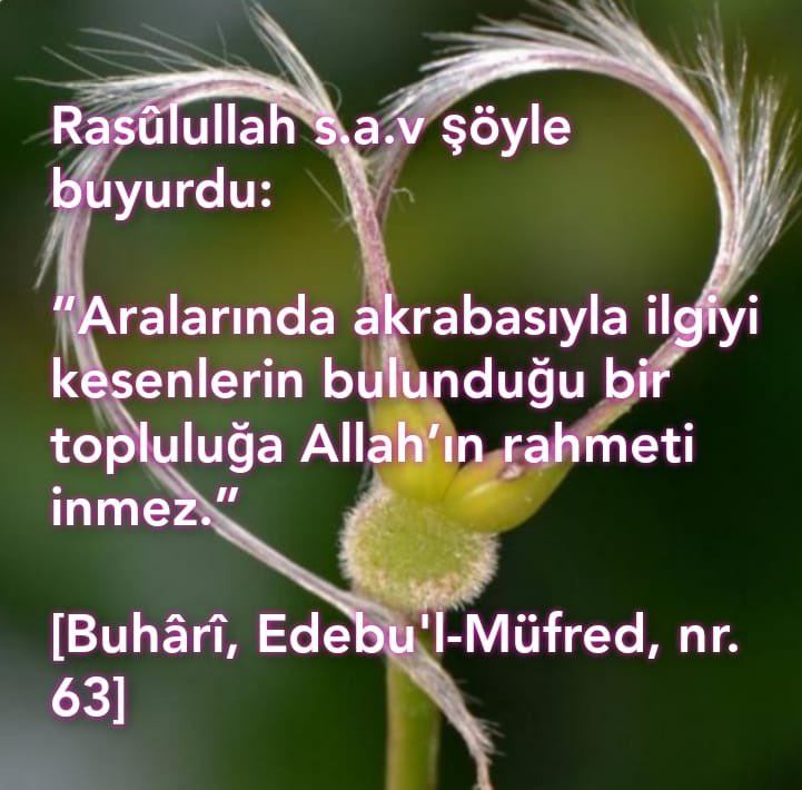 Rasûlullah s.a.v şöyle buyurdu: 

“Aralarında akrabasıyla ilgiyi kesenlerin bulunduğu bir topluluğa Allah’ın rahmeti inmez.”

[Buhârî, Edebu'l-Müfred, nr. 63]

HADİS
#PeygamberimizinSözü