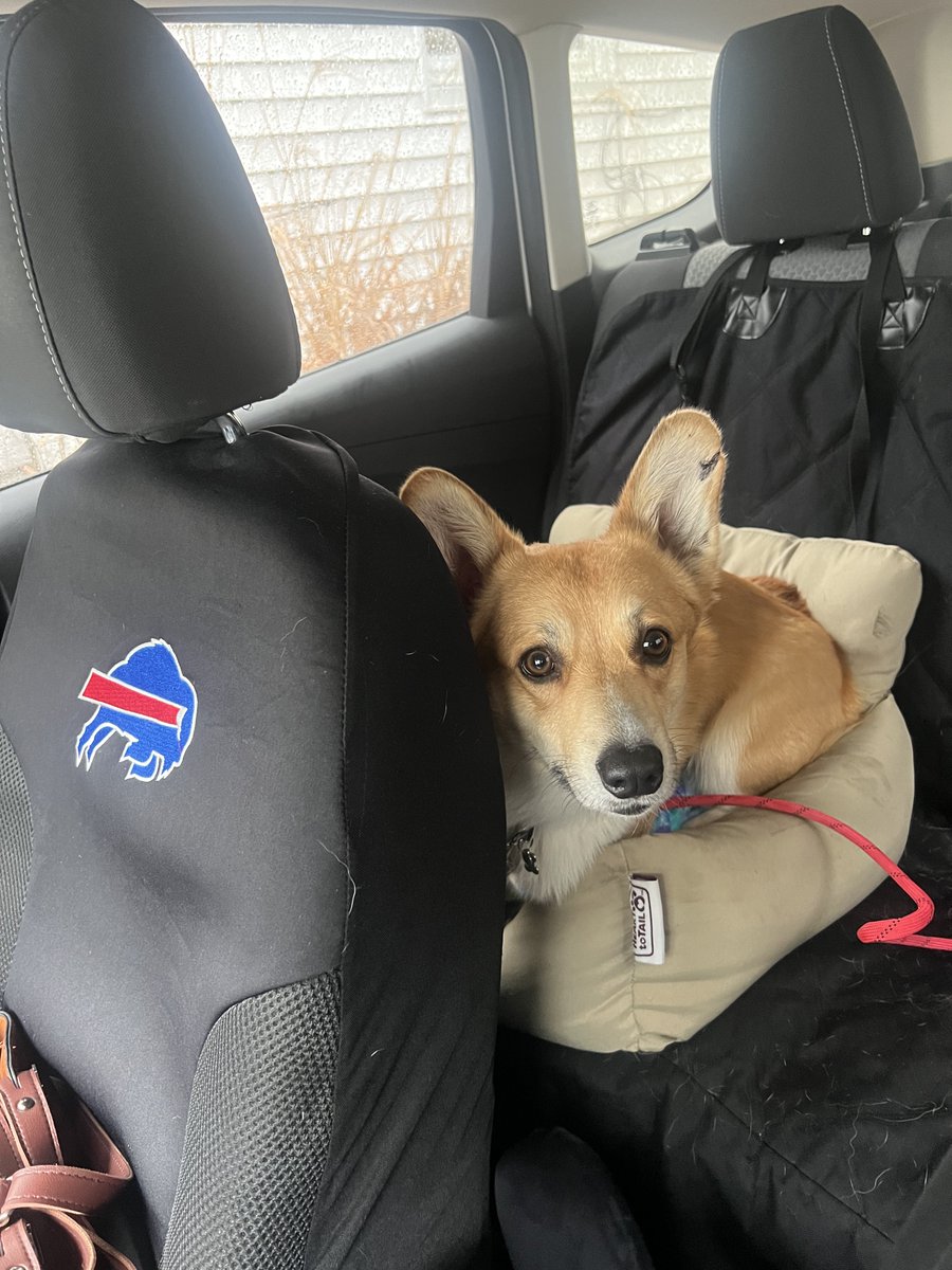 Allentown1711's tweet photo. #TurboB is on his way home to the farm!! ❤️ https://t.co/r8cWccVluZ