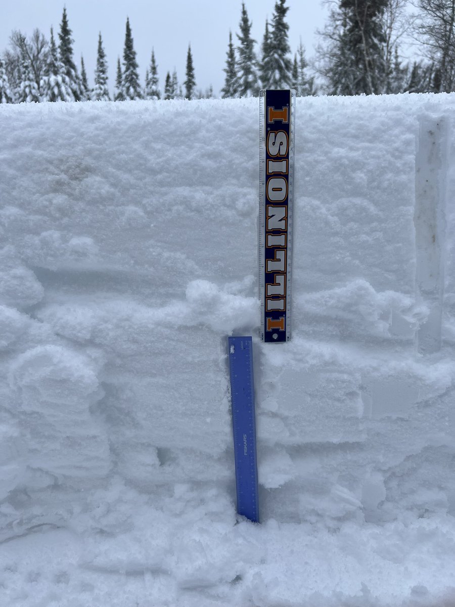 aj_zach's tweet photo. @NWSduluth Average of 23.75 total snowfall near corner of Rice Lake rd and W Beyer in Duluth. Took several measurements. Can see the two layers from the two waves. https://t.co/QG2nEy81yP