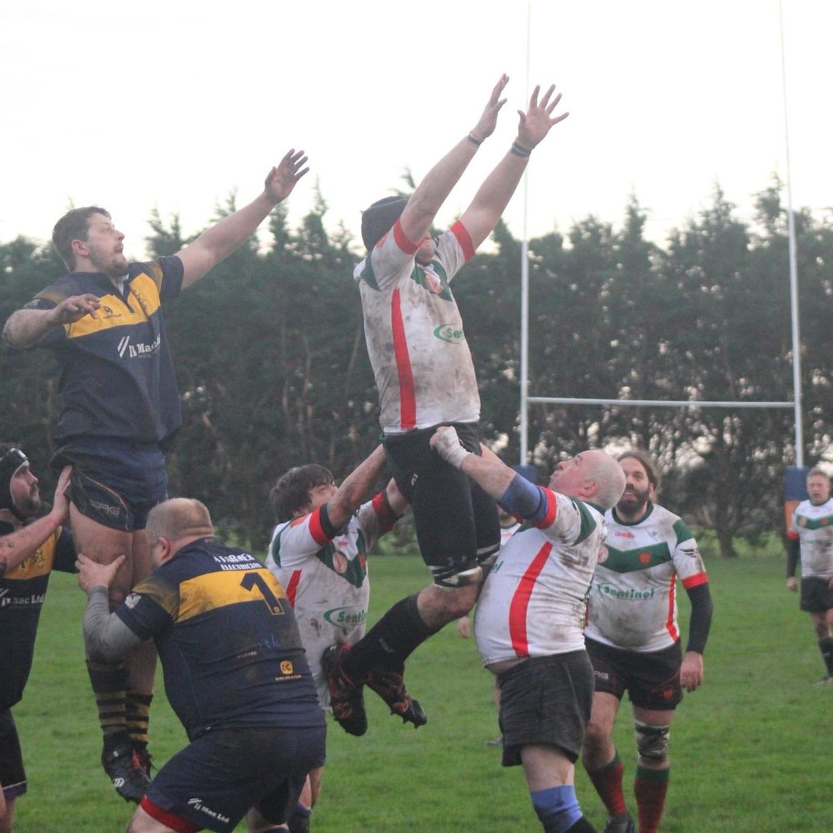 Stamford College Old Boys RFC tweet media