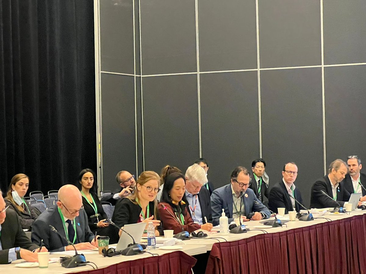 BfNCoalition's tweet photo. At the #COP2COP roundtable discussion, @EvaZabey1 emphasized that a strong resource mobilization strategy as part of the #GBF must prioritize: 

✔️ Increasing financial resources 
✔️ Aligning public &amp; private financial flows
✔️ Equitable allocation, access, &amp; distribution of 💵 https://t.co/O6usF8w9R7