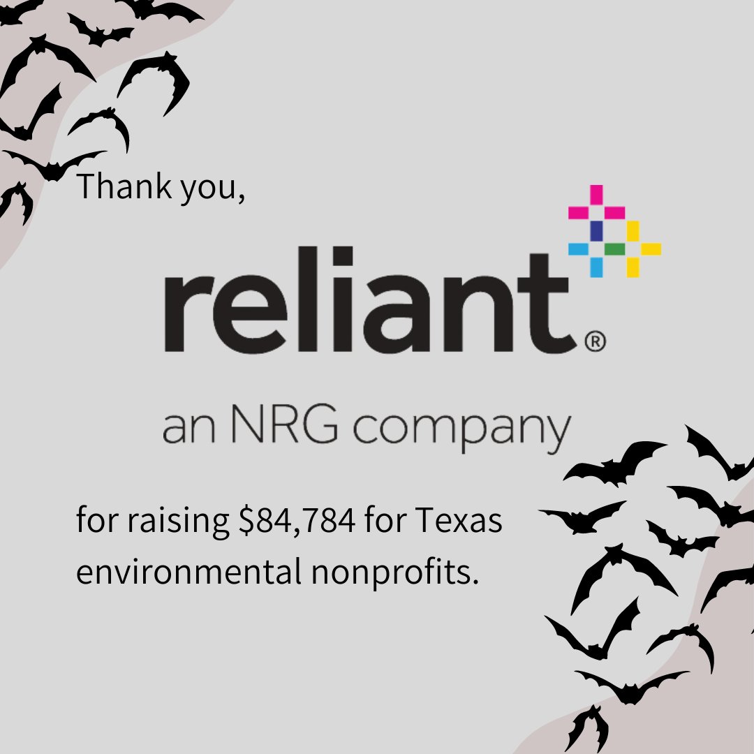 BayouLandConservancy tweet media