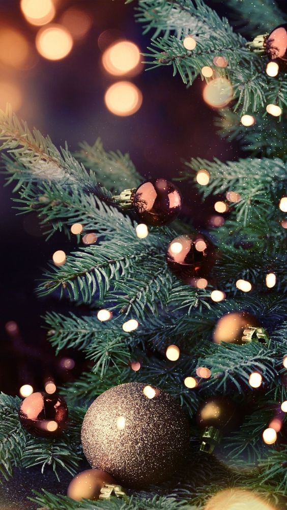 dailychristmass's tweet photo. We wish you a wonderful Christmas in 1 DAY!! ✨💛 https://t.co/JKaMenoyb8