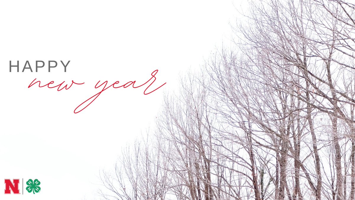 WCNE4H's tweet photo. Wishing everyone a happy and safe #NewYear! We're looking forward to 2023. 🌟 https://t.co/EGdgwVLQWk