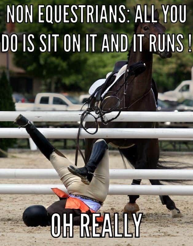 DeFi_Horse's tweet photo. Not with #DeFiHorse, you don’t even need to move but just entering the game with your #NFT Horse. 

Own your #NFT Horse now: https://t.co/78ieFwrwSE

#DFH #DeFiHorse https://t.co/OOiHoAB1Z3