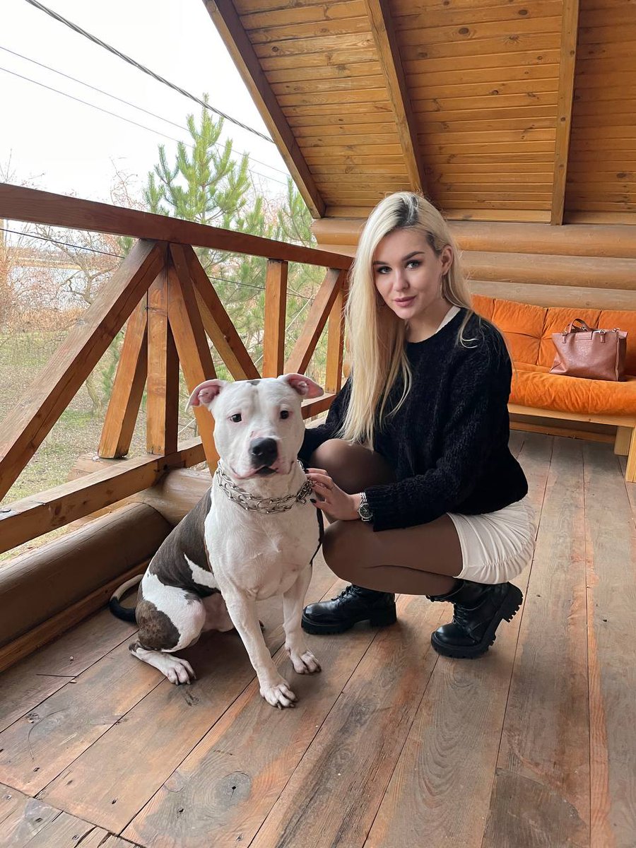 Dogs are man's most loyal friends🥰