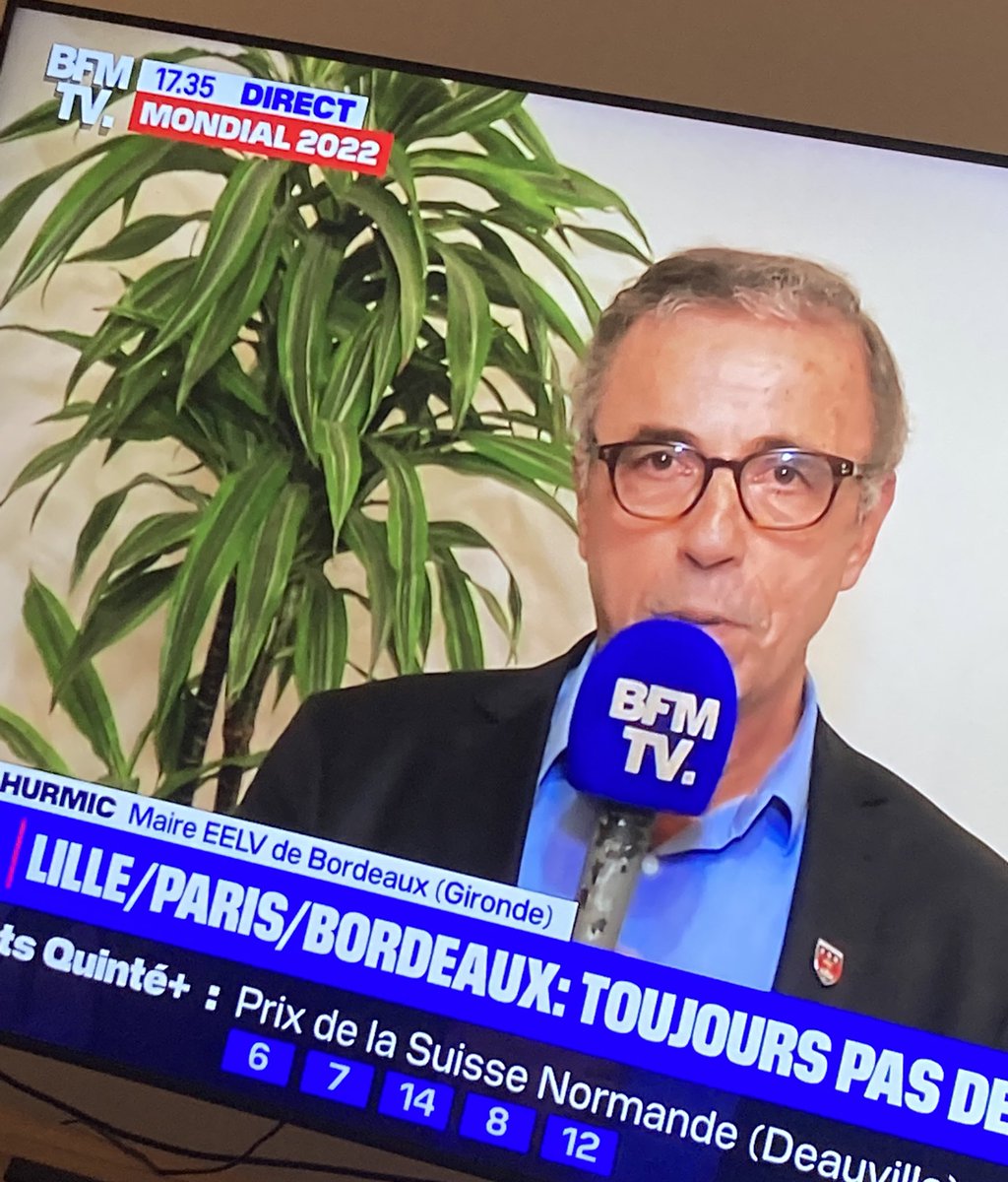 MP 974👨🏽‍🏫🌍⏳🏺🐈🐝✈️🇷🇪🇫🇷 tweet media