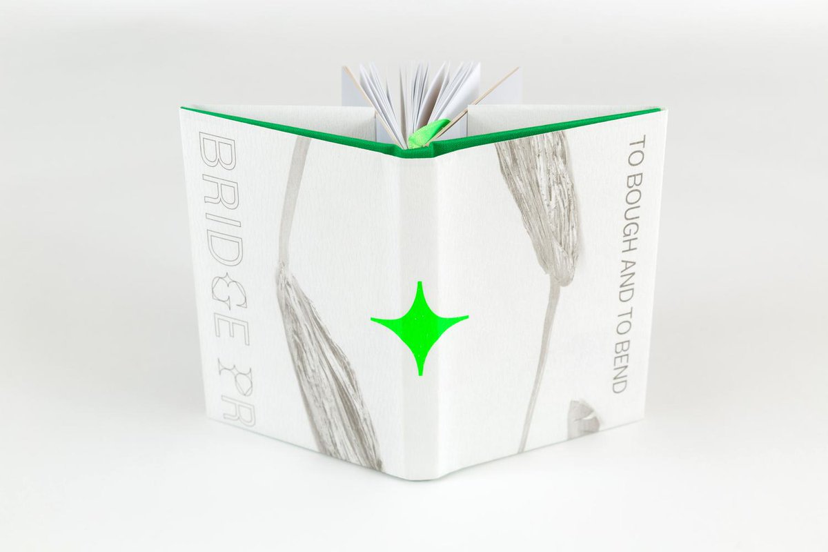Bridge_Projects's tweet image. In search of a holiday gift for the art lover in your life? 

Now through Dec. 25, all of our exhibition catalogs—and small catalog bundles—are for sale at 30% OFF. 

Use the discount code: HOLIDAYSALE at checkout. 

bridgeprojects.bigcartel.com