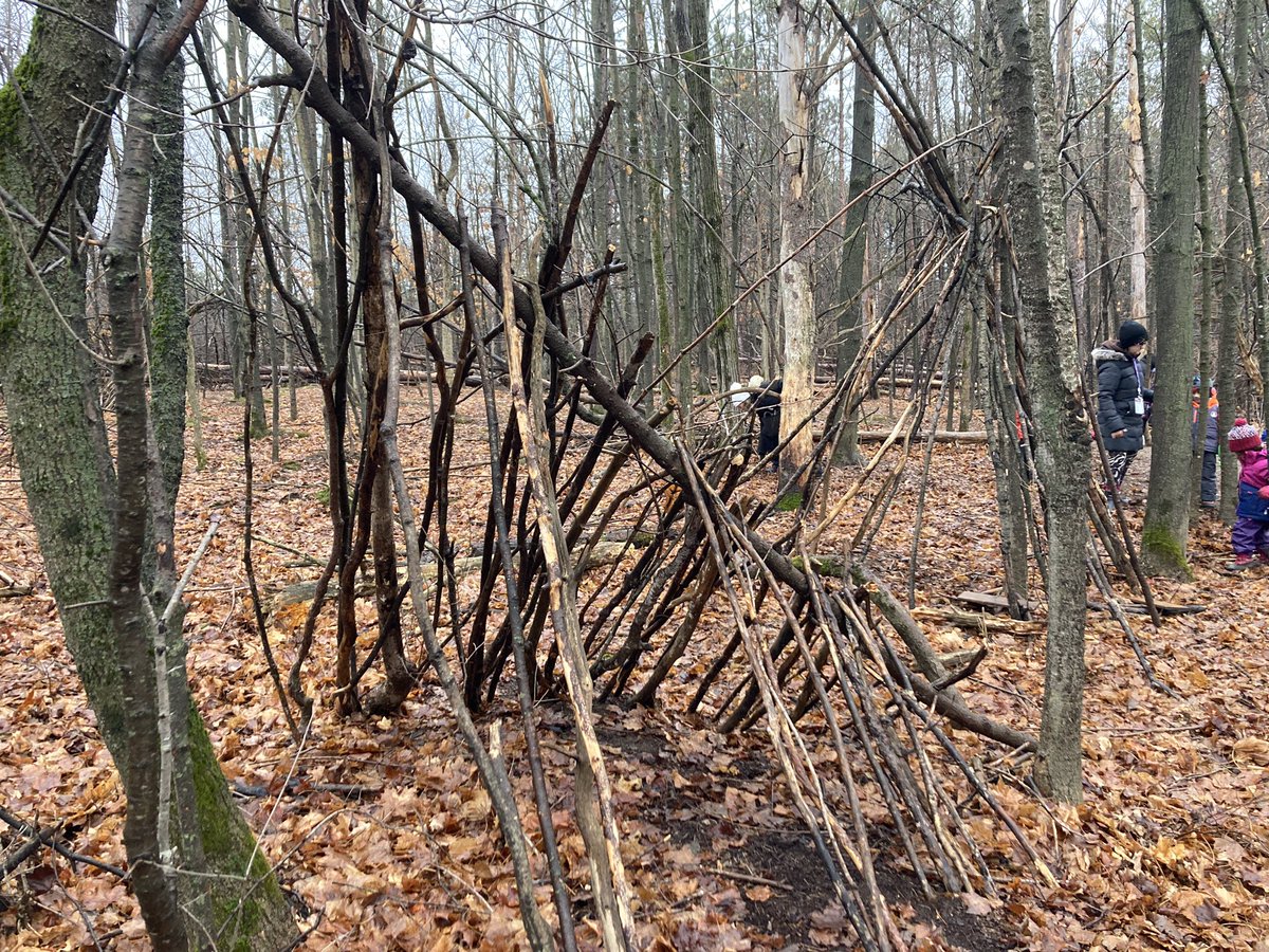 MmeGillian's tweet photo. What a difference a week makes! Our 🦫 and 🦦 A-frame debris shelter is coming along very nicely! 

@ShingwakonsPS @OCDSBoec 
@kmheckman4 @fgnazeda https://t.co/Z64tTlap99