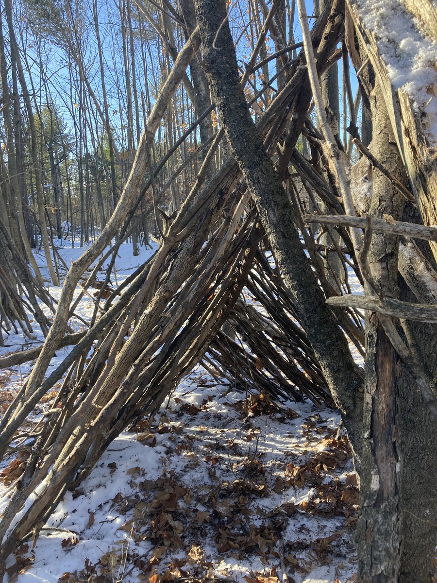 What a difference a week makes! Our 🦫 and 🦦 A-frame debris shelter is coming along very nicely! 

<a href="/ShingwakonsPS/">Shingwàkons Public School</a> <a href="/OCDSBoec/">OCDSB Outdoor Centres</a> 
<a href="/kmheckman4/">Kristen Heckman</a> <a href="/fgnazeda/">Figen Demir</a>