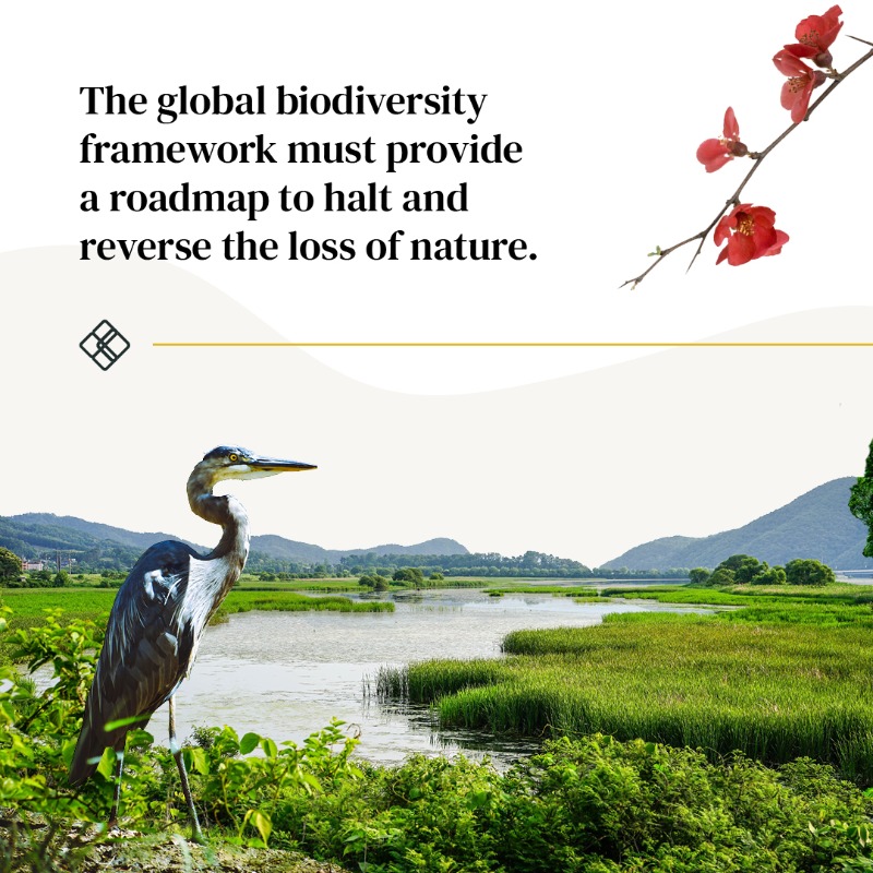 CapsCoalition's tweet photo. We've entered the second week of #COP15 & the Global Biodiversity Framework is still littered with brackets.
It is critical that negotiators #BreakTheBrackets without compromising on ambition.
1 week remains to deliver a historic framework & reset our relationship with nature.