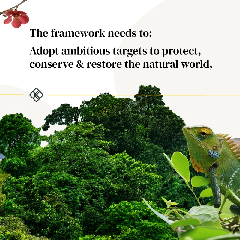 CapsCoalition's tweet photo. We've entered the second week of #COP15 & the Global Biodiversity Framework is still littered with brackets.
It is critical that negotiators #BreakTheBrackets without compromising on ambition.
1 week remains to deliver a historic framework & reset our relationship with nature.