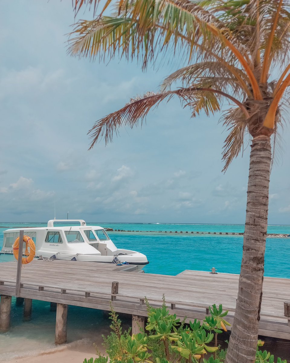 cssrmstr's tweet photo. One of the beautiful resorts in Maldives! Relatively affordable than the rest and offers a paradise view of the Maldivian Ocean!😍 #Maldives #lhaviyaniatoll #resorttour #asia #travel #digitalnomad
Watch here: https://t.co/zkSlRVS4iE https://t.co/jaAypAg3sp