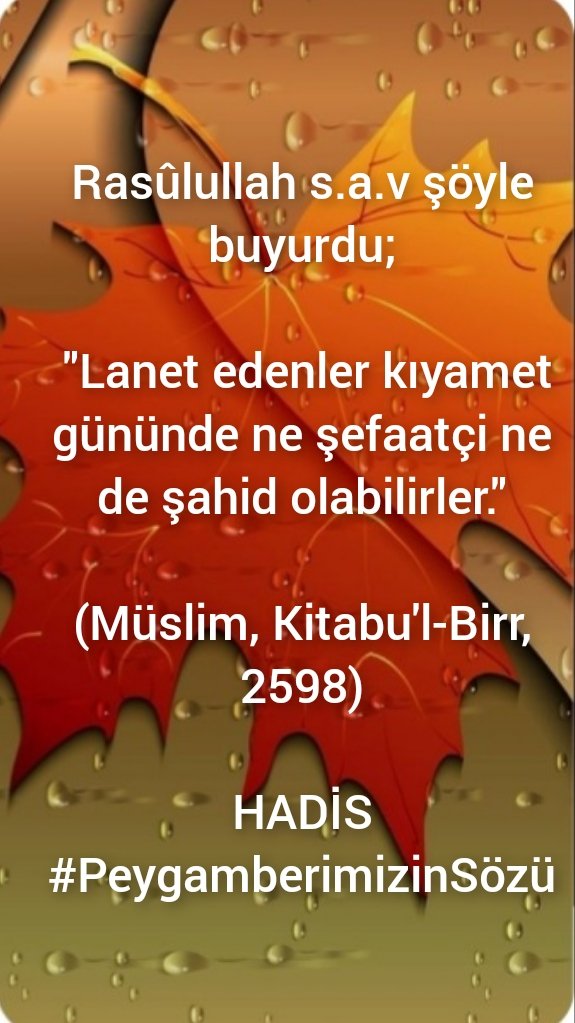 Rasûlullah s.a.v şöyle buyurdu;

 'Lanet edenler kıyamet gününde ne şefaatçi ne de şahid olabilirler.'

(Müslim, Kitabu'l-Birr, 2598)

HADİS
#PeygamberimizinSözü