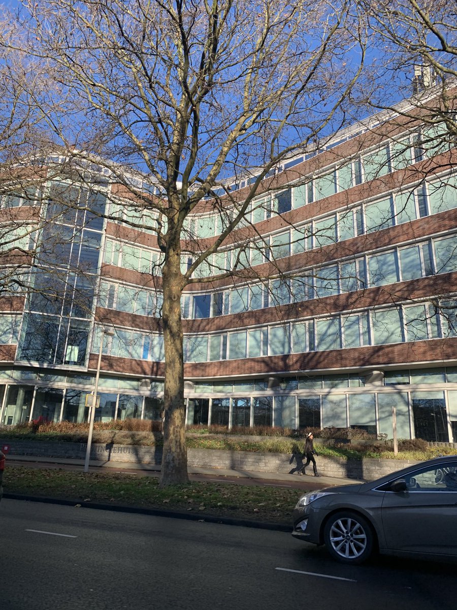 Mirjam Wulfse tweet media