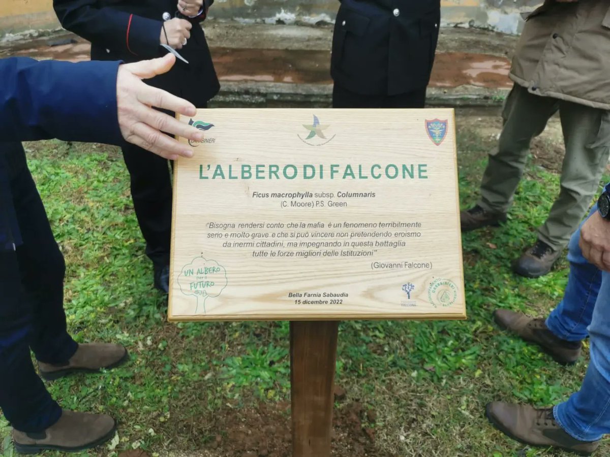 FlaiFrLt's tweet photo. Si è tenuta oggi #15Dicembre presso l’ex scuola elementare di Bella Farnia di Sabaudia la cerimonia di consegna dell’#alberodiFalcone ad opera del Reparto Carabinieri Biodiversità di Fogliano.
👉 Leggi il comunicato 👉 https://t.co/eT3N6Hdr8s

#flaicgilfrosinonelatina https://t.co/qLFvMzqavL