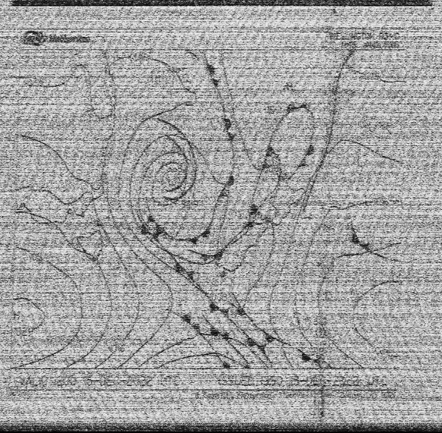 SparkySWL's tweet photo. 13550.5 kHz (+400/-400 Hz w/b) #ZKLF @MetService #Wellington. This is the best I could receive during the hourly afternoon bcsts on 9 and 13 MHz. 12Z surf analysis at 15:30UTC. RX: @airspy_com HF+Discovery + @sdrsharp v.1.0.0.1900 + ANT: #PA0RDT original #miniwhip. @SWLingDotCom https://t.co/5GDzFXv4mA