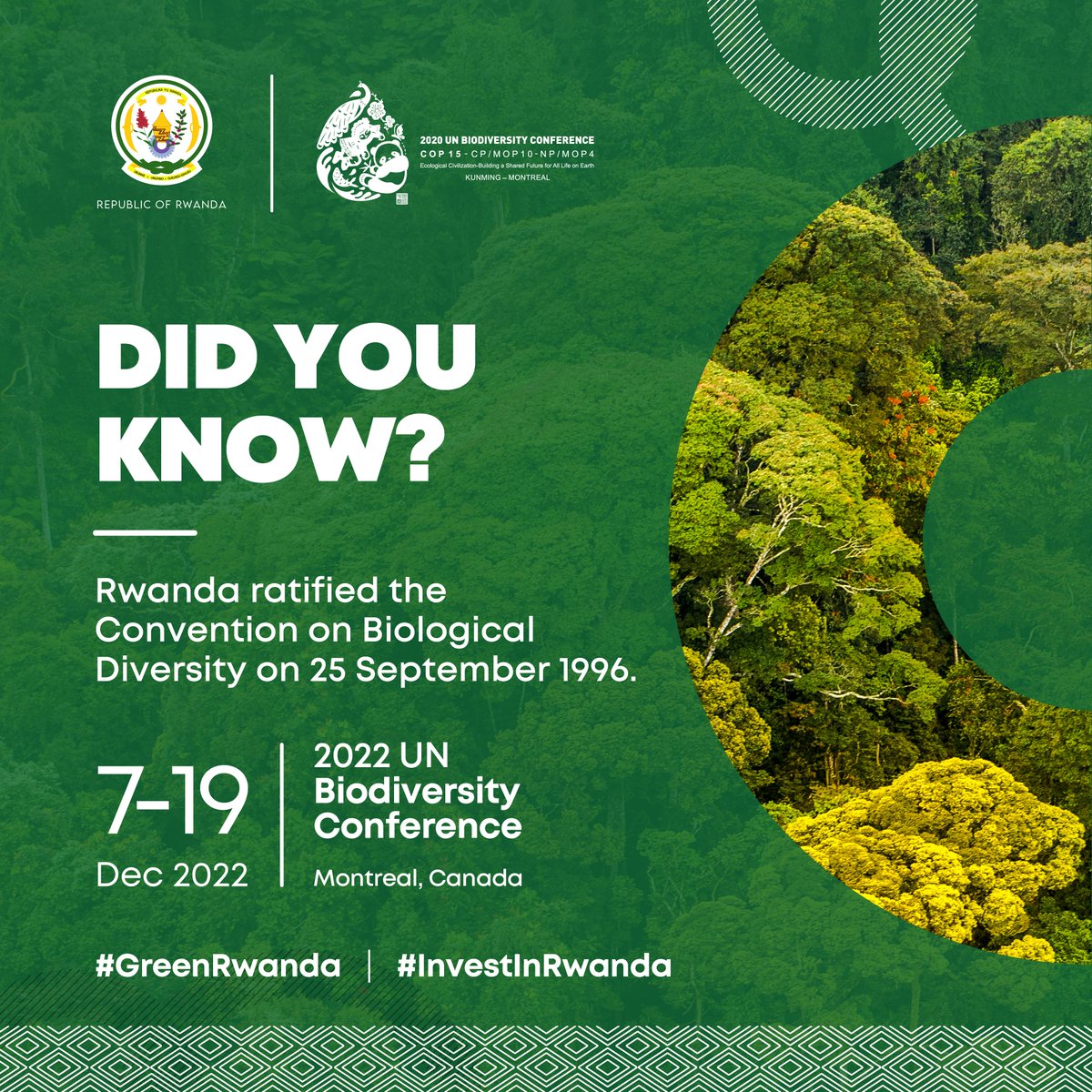 EnvironmentRw's tweet photo. #DYK - Did you know? 

By ratifying the @UNBiodiversity Convention, countries meet every two years to review progress, set priorities and commit to restoring biodiversity for a sustainable future.

Rwanda ratified the convention on 25 September 1996.

#GreenRwanda 🇷🇼🌿 https://t.co/D7nIGcYUzK