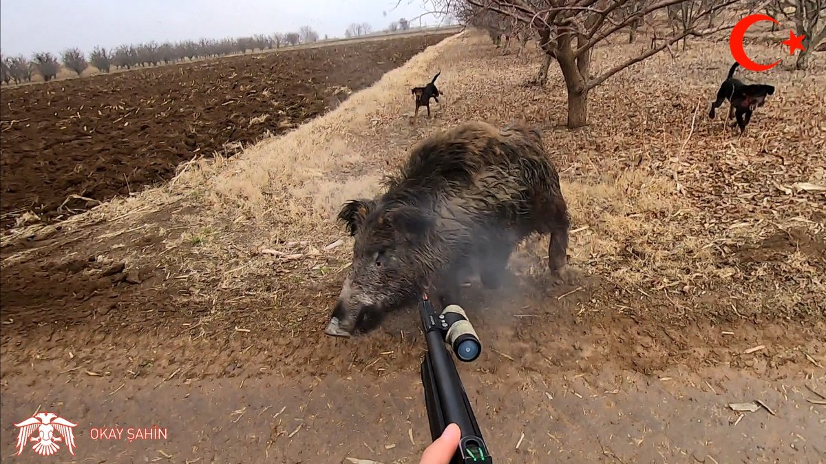 okaysahin_'s tweet photo. Yeni video yayında dostlar.
Herkese rasgele

Linke tıklayarak izleyebilirsiniz. 👇

https://t.co/hY2Cd1Wqoo

@huglukooperatif
#okaysahin #av #domuzavı #hunt #Hunter #wildboar #huglu #okayşahin #hunting https://t.co/JfIbmIYBRl