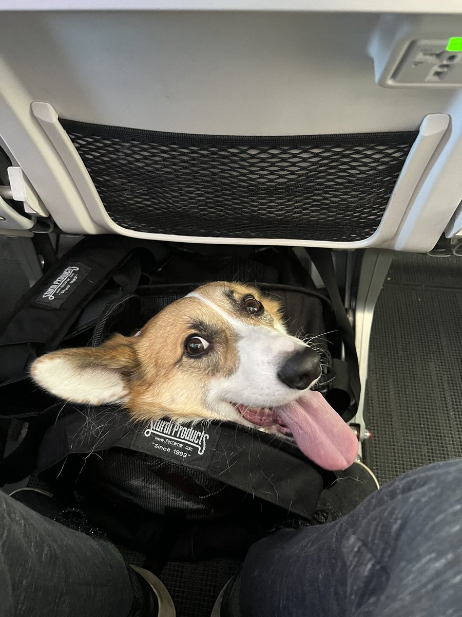 PhenCran3's tweet photo. We took a lil trip together https://t.co/uNel8oAC81