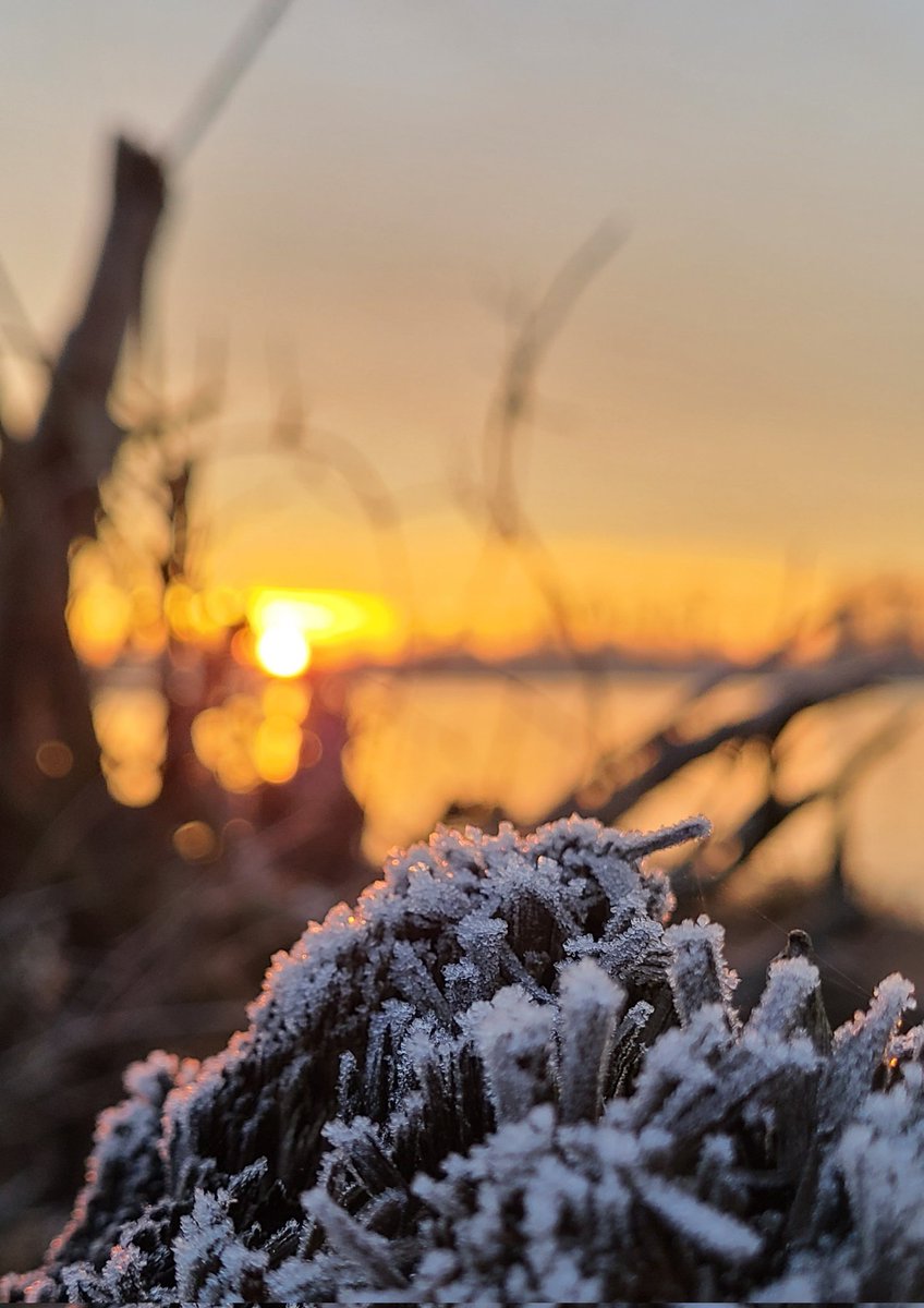 howyougo's tweet photo. Good morning Thursday!
#sunrise #goodmorning #Thursday #BCStorm #December #Vancouver #fraserriver #frost #Bbrr #StormHour #coloursky #pinksky #Westcoast #daysaregettingshorter  #ShareYourWeather #winter https://t.co/nfw6LvnsVb