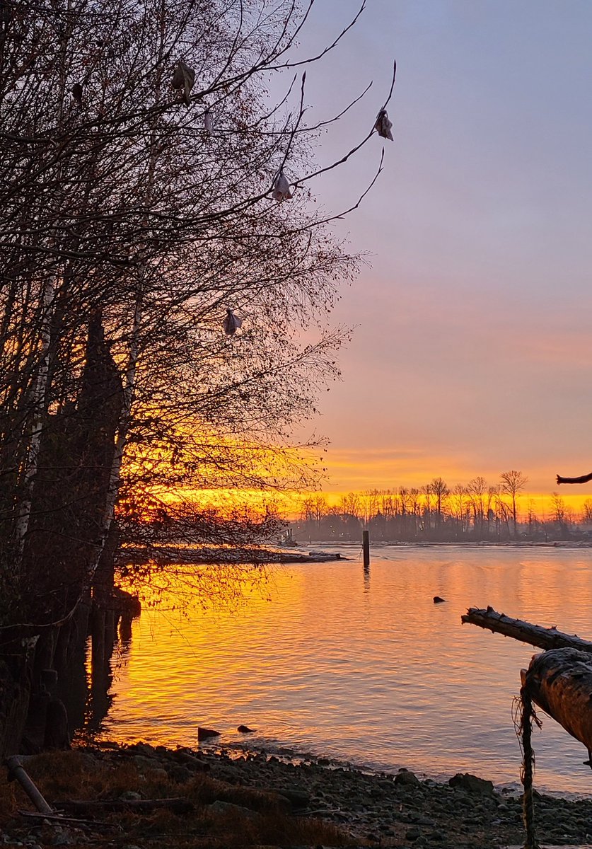 howyougo's tweet photo. Good morning Thursday!
#sunrise #goodmorning #Thursday #BCStorm #December #Vancouver #fraserriver #frost #Bbrr #StormHour #coloursky #pinksky #Westcoast #daysaregettingshorter  #ShareYourWeather #winter https://t.co/nfw6LvnsVb
