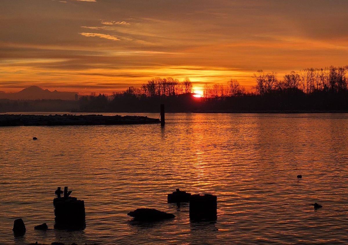 howyougo's tweet photo. Good morning Thursday!
#sunrise #goodmorning #Thursday #BCStorm #December #Vancouver #fraserriver #frost #Bbrr #StormHour #coloursky #pinksky #Westcoast #daysaregettingshorter  #ShareYourWeather #winter https://t.co/nfw6LvnsVb