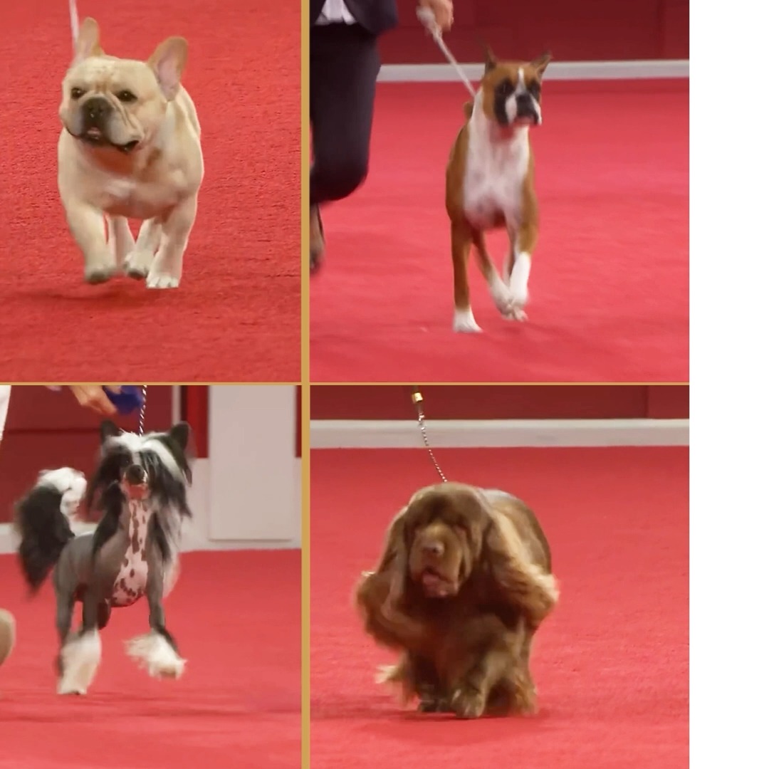 Hill's Pet Nutrition Zoominfo