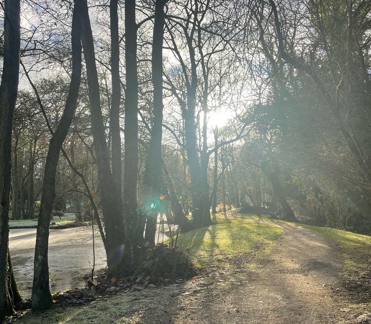 A fresh & chilly morning in St Fiachras Garden 🌿❄️ Have you visited the grounds this Winter #comevisit #irishnationalstudandgardens