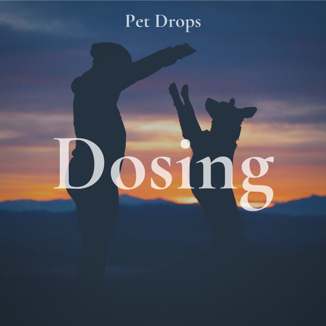 treeworksma's tweet photo. Every creature on this planet is unique 🧡

But when it comes to Pet Drops, Treeworks has you covered! Check out the instructions listed on the tincture to get information on how to properly dose for different sizes. https://t.co/8gQO2VzuhP