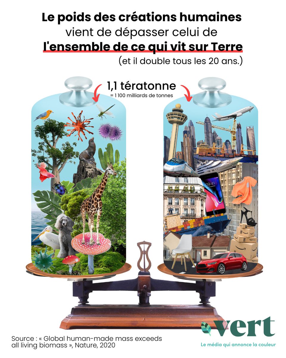 Les humains ont tellement fabriqué d’objets, bâti d’immeubles ou de routes, que leurs constructions pèsent plus lourd que le poids total du vivant. 

La trajectoire est spectaculaire, puisque ce poids double tous les 20 ans. (1/3)