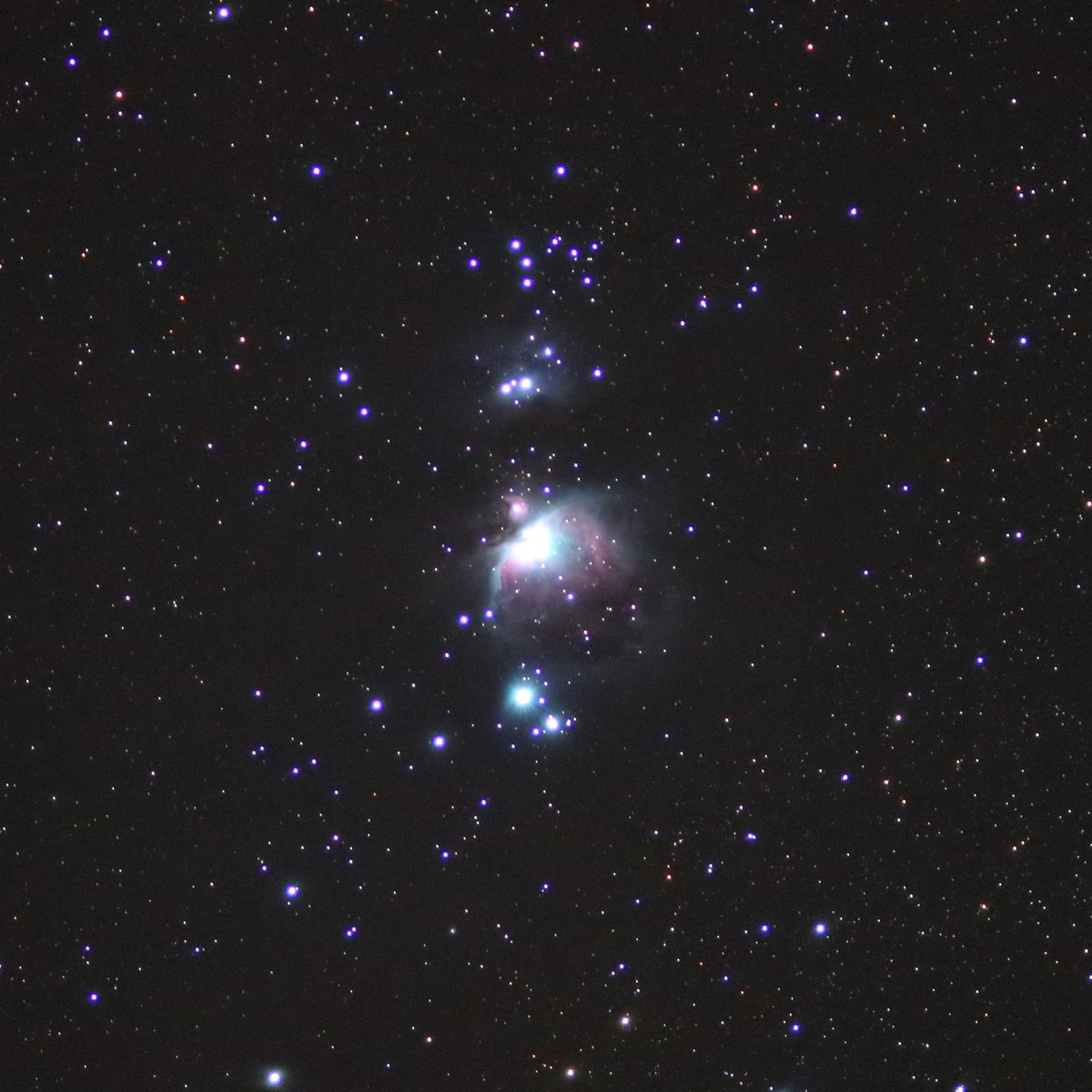 ronmscience's tweet photo. The famous Orion Nebula (M42) is a beautiful sight through even a small telescope this time of year. (135mm f/3, ISO6400, stack of 10 8-second exposures) #astrophotography #orion #nebula https://t.co/CC8GlxtbSK