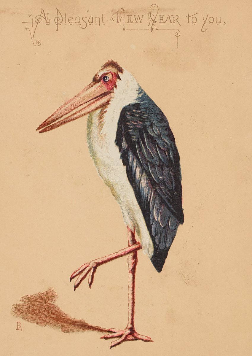 NorthantsPast's tweet image. Happy New Year from the Northamptonshire Archives and Heritage Service!