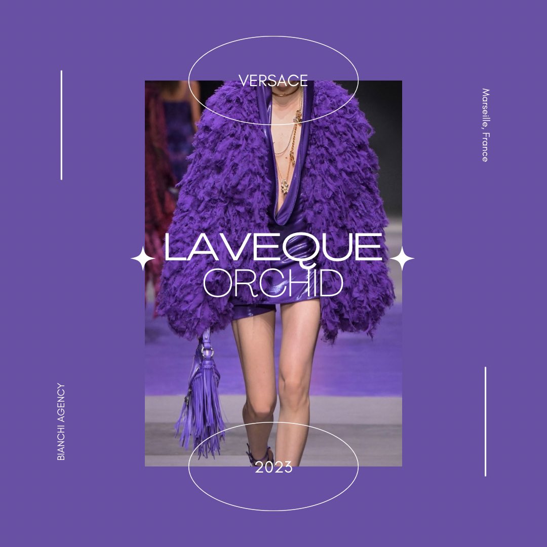 BlVNCHl's tweet image. ⠀ ⠀⠀

            Forceful, Intentional, Versace
⠀ ⠀
⠀ ⠀⠀