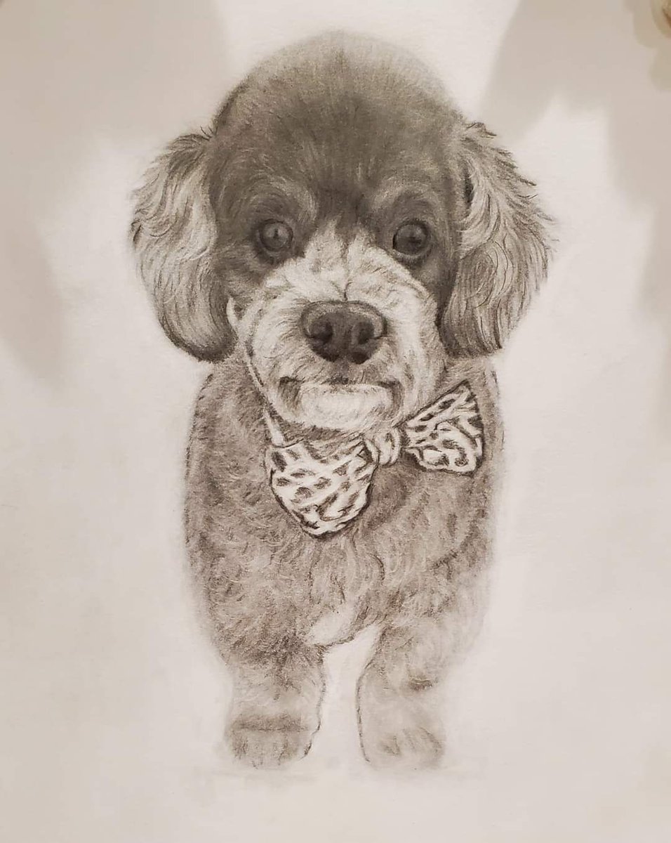 LlRobar's tweet image. 