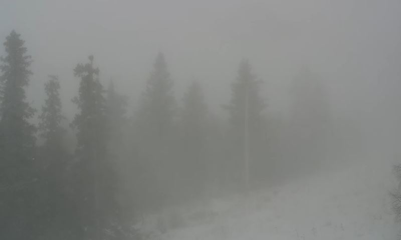 Terry Peak said it has received 56 inches to 62 inches in the past 72 hours.
bit.ly/3BAOZxW