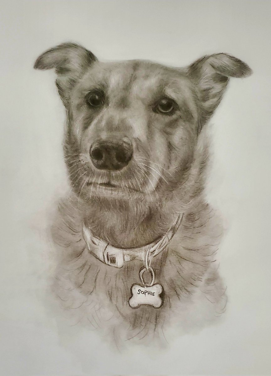 LlRobar's tweet image. 