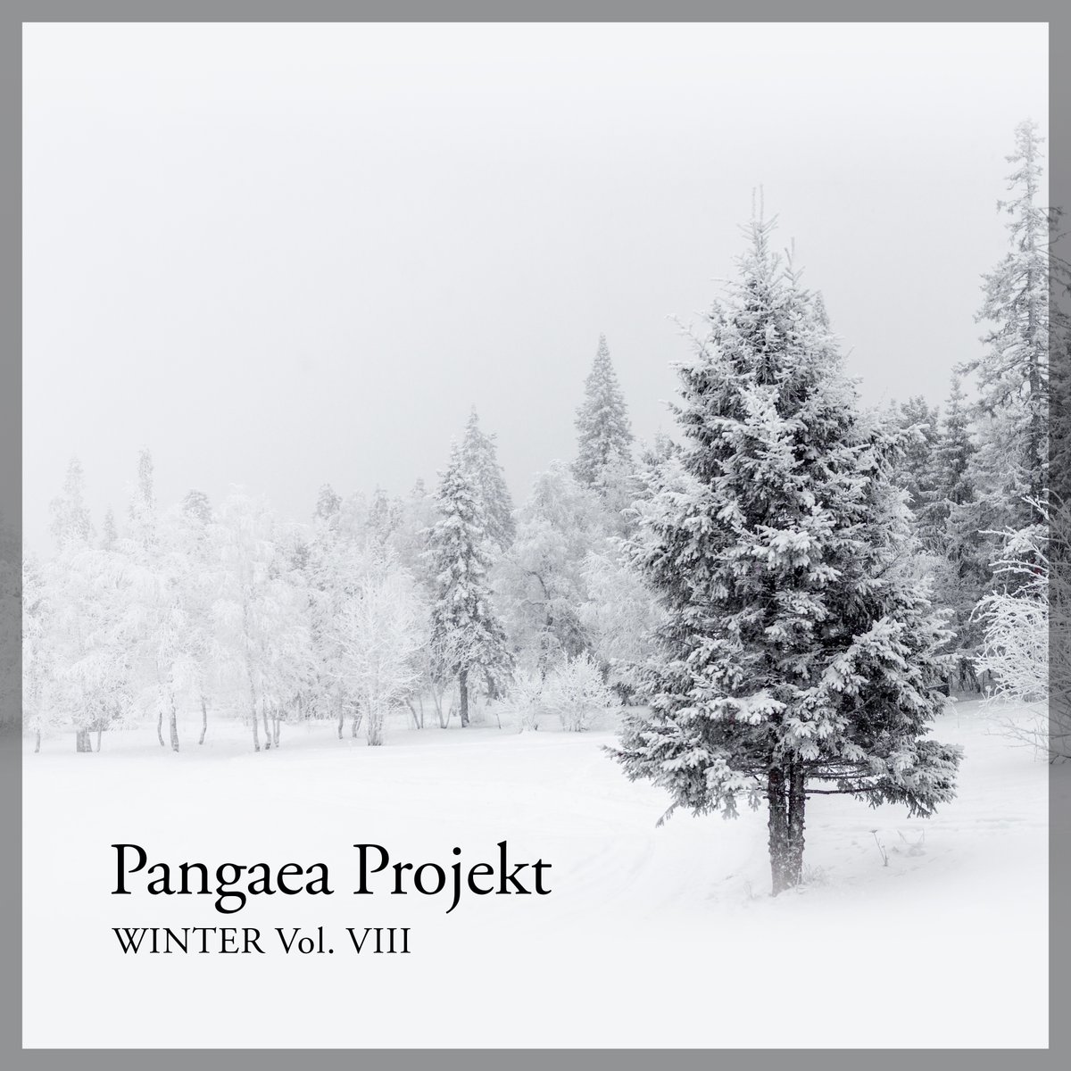 PangaeaProjekt's tweet photo. Pre-save my new album "Winter Vol. VIII" on Spotify: https://t.co/TSgSwLU8gU (powered by @distrokid) https://t.co/dSEVjnwNjv