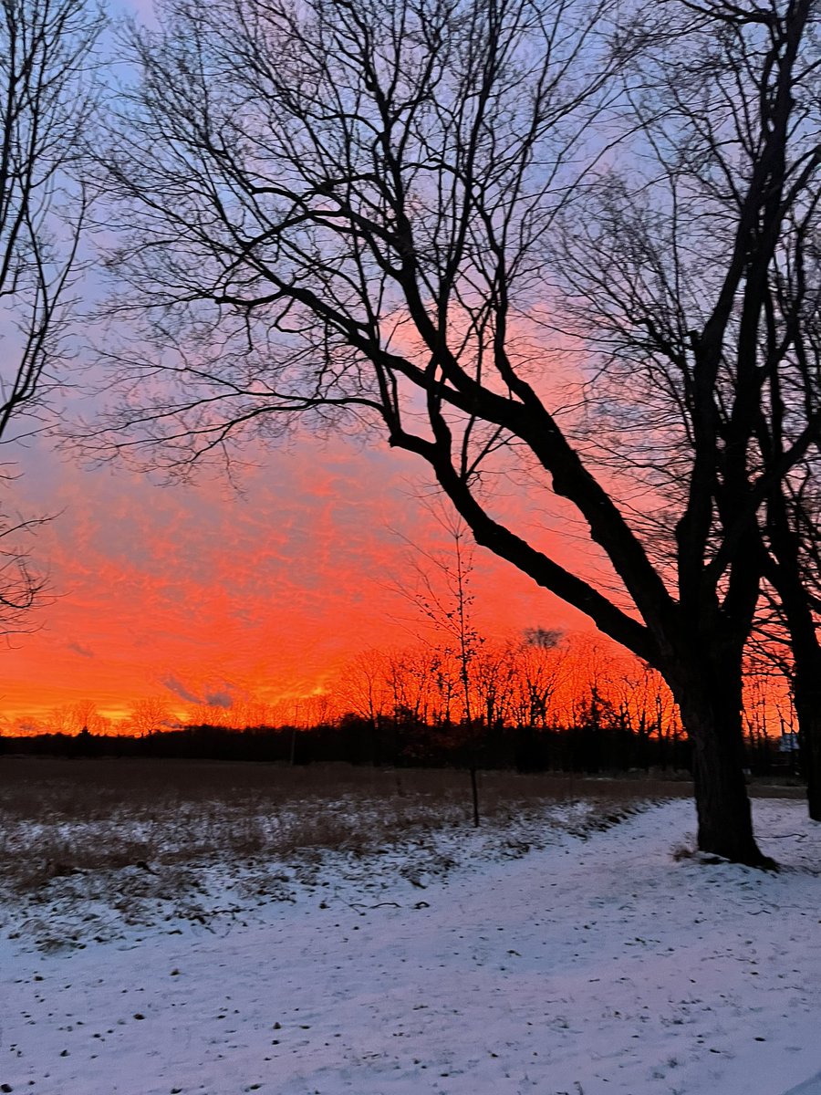 dawnayer's tweet photo. Hey @AnthonyFarnell this 7 am sky in #PEC reminded me that “red sky in morning, sailors take warning” #ONStorm #nofilter https://t.co/Jd6rvL2uMk