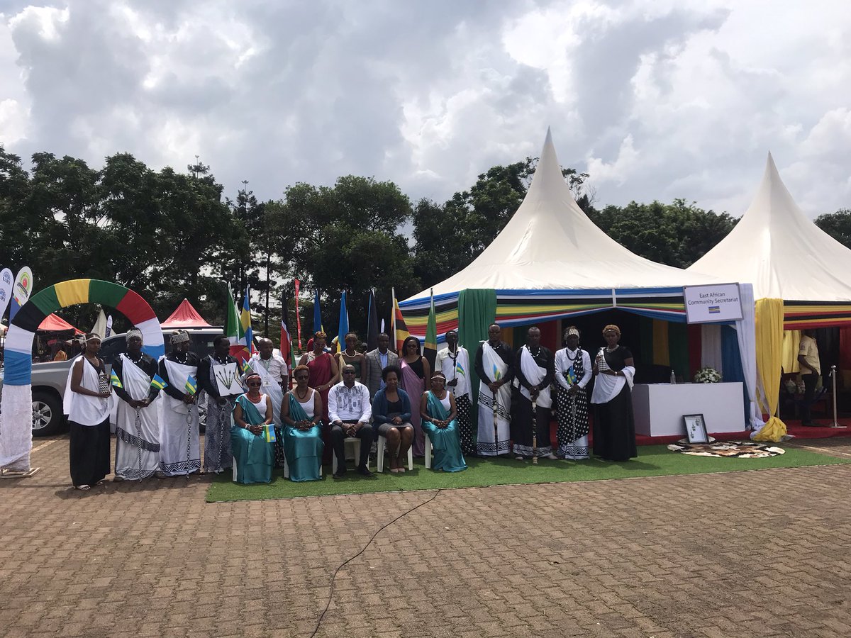 Dona Sava tweet media