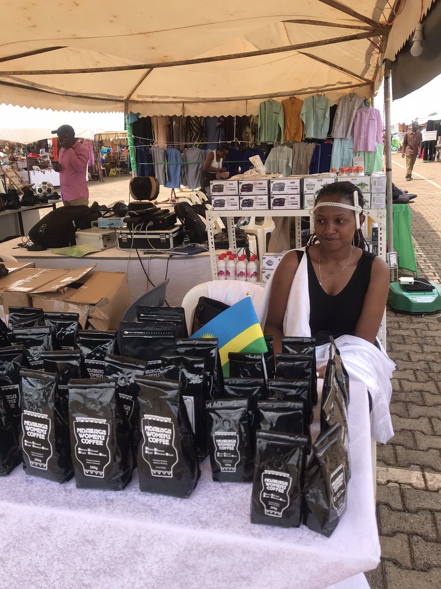 Dona Sava tweet media