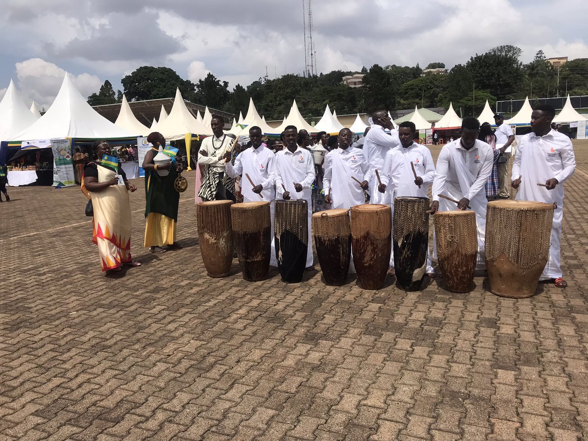 Dona Sava tweet media