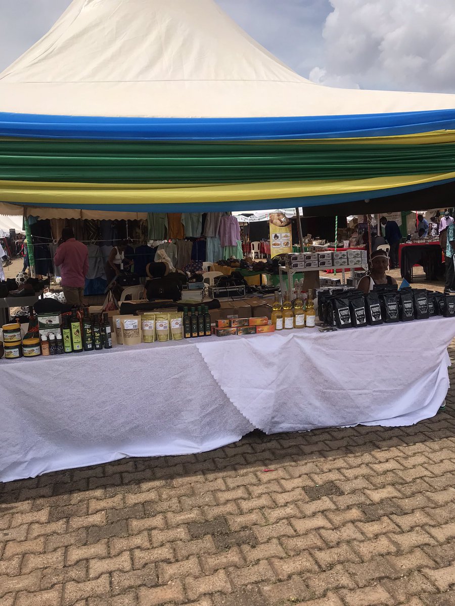 Dona Sava tweet media