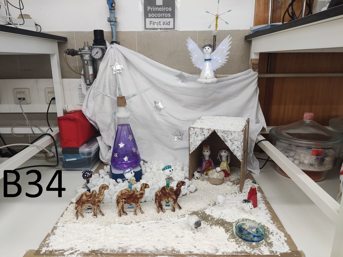 PolySyc's tweet image. 🎵It&apos;s beginning to smell a lot like Christmas🎵 With the 1st @PolySyc Christmas Tree competition!
This year, we&apos;ve held a competition to determine which lab has the most beautiful and scientific Christmas tree!  Which one is your favorite?

By Laboratory B34