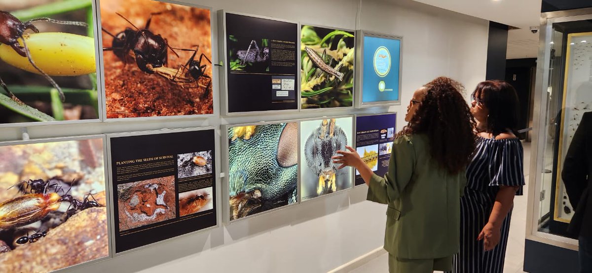The Iziko South African Museum opens a new exhibition tonight titled: 'Hidden Wonders of the Iziko South African Museum'.

'Hidden Wonders of the Iziko South African Museum' showcases the very best of our impressive and almost 200-year-old collections. 

#HiddenWondersOfIziko