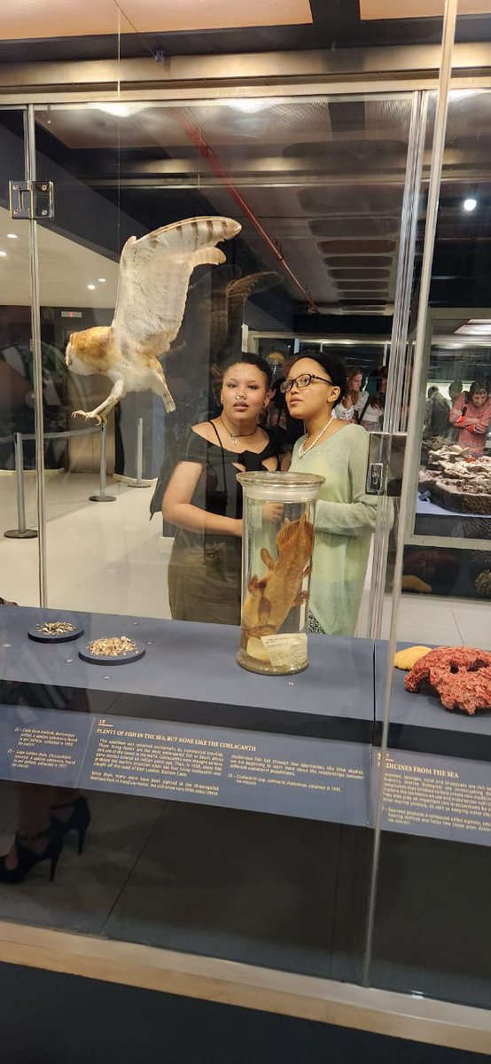 Iziko_Museums tweet media