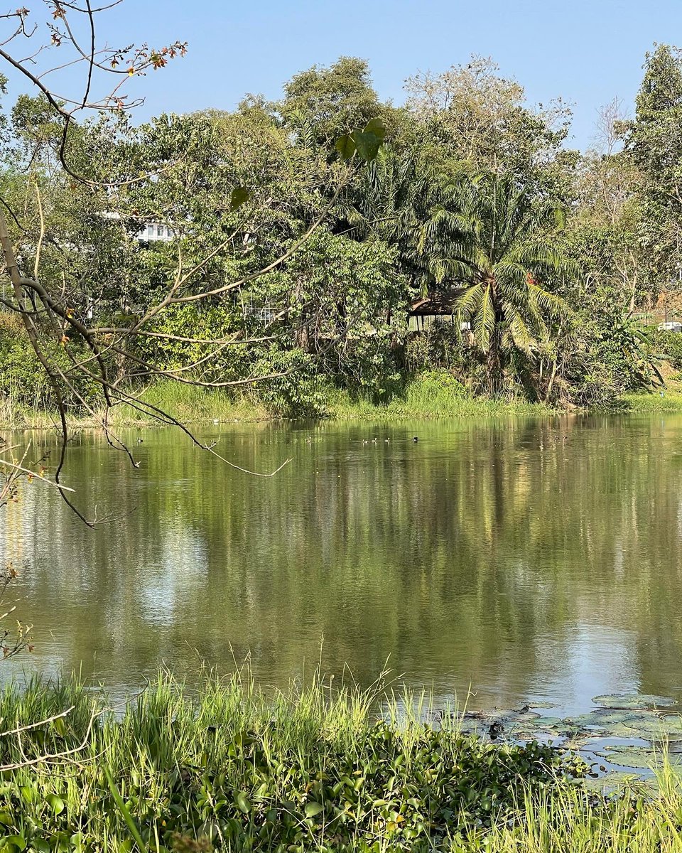 untappedfarms's tweet photo. For the love of Nature…
Photo Credit: @untappedfarms 
#AbujaTwitterCommunity #Abuja #abujabolecarnival #jabilake https://t.co/dwjG8xs2Wl